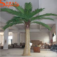 Eine biographie (königshauses & neumann, 2019) Gunstiger Preis Verkauf Grosse Innen Und Aussen Dekor Kunstliche Kokospalme Fiberglas Palme Mit Plastik Blattern Buy Fiberglas Material Und Angepasst Grosse Kunstliche Baum Kunstliche Kanarische Dattelpalme Grossen Rabatt Kunstliche Fiberglas Palme
