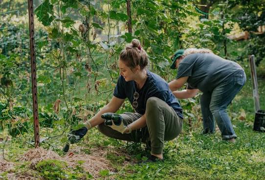 Volunteer With Us — Food Well Alliance