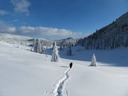 Temperaturile extrem de ridicate din românia au dus orașele din zonă în topul celor mai fierbinți din europa. Frig Record In Bihor 39 6 Grade Intr O Dolina Din Padis Cea Mai