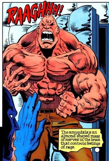 Amygdala