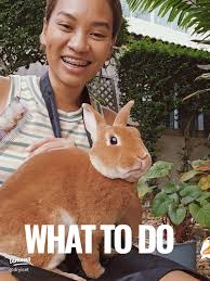 กระต่ายหลายอารมณ์ น่ารักและความผูกพันที่คุณต้องรู้จัก