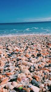 Jun 06, 2021 · jeans hold a solid spot in your everyday look. Lillian Lillian X2744x2744 Summer Vibes Pinterest Vsco Beach Pictures And Summer Aesthetic Lill Summer Wallpaper Beach Aesthetic Beach Pictures