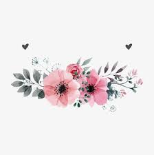 Pink Flowers Flower Hand Painted Plants Vector Dia Dia Flowersflowerhandp Vektor Blumen Blumenmuster Hintergrund Wie Man Blumen Malt