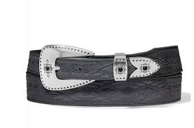 Image result for Silver Star 1993 Dakota