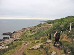 Landschaftlich zeigt sich die insel mit feinen sandstränden, steilen klippen, wald und feldern sehr abwechslungsreich. Bornholm Auf Neuem Wanderweg Hojlyngstien Entdecken Urlaub In Daenemark Net