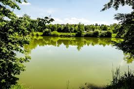 With 41 photos & 5 insider tips, here's everything you need to know! Wernauer Baggerseen Naturschutzgebiet Im Westentaschenformat