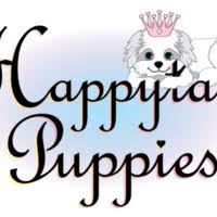 Maybe you would like to learn more about one of these? Happytail Puppies Review Puppy Breeder Complaintsboard Com