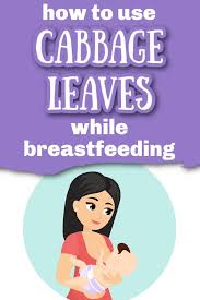 Check spelling or type a new query. How To Use Cabbage Leaves For Engorgement Mastitis And Weaning
