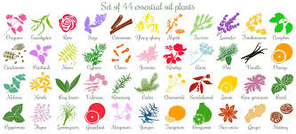 Stronger hair means less breakage, which allows hair to reach longer lengths. Best Essential Oils Regrow Thicker Strong Hair Sandra Bloom