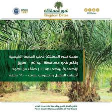 مزرعة تمور المملكة تعتبر المزرعة الرئيسية وتقع في محافظة البدائع ويوجد بها 14 صنف من أجود أصناف النخيل وتحتوي على 62 000 Dating Instagram Posts Instagram