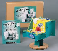 Check spelling or type a new query. Plant Cell Model Kit Flinn Scientific