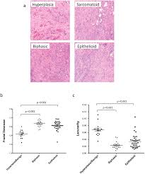 $30 billion dollars is available. Unique Fractal Evaluation And Therapeutic Implications Of Mitochondrial Morphology In Malignant Mesothelioma Scientific Reports