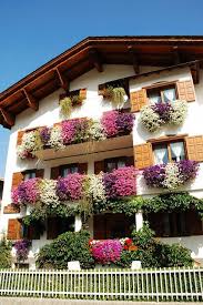 Germany Another Pic Of Abundant Window Boxes Blooming Profusely With Lovely Colors German Houses Balcony Flowers Window Boxes