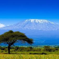 Welcome to climb mount kilimanjaro! Mount Kilimanjaro Climbing Kilimanjaro Arusha By Cedarberg Africa