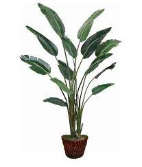 Traveller Palm Faux Tree Potted Trees Faux Tree Travellers Palm