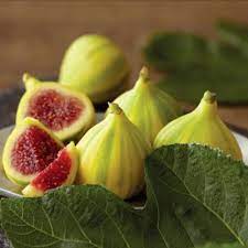 We did not find results for: Tiger Figs Order Fresh Figs Online Harry David Fruit Fruit Gifts Fresh Fruit Delivery
