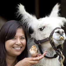 This summer's OC Fair: 'Home Sweet Home'