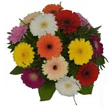 Hilfe für die braut bei der suche nach dem perfekten blumenstrauss (hochzeitsstrauss). Frohlicher Gerberastrauss