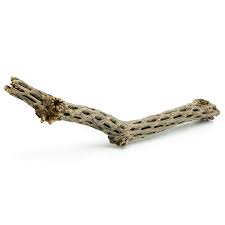 Extra tourmaline mineral supplement balls included. Cholla Wood Crooked 50 Cm 2 4 Cm Aquasabi Aquascaping Shop