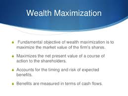 Profit Maximization Vs Wealth Maximization