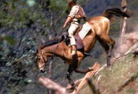 The man from snowy river. The Man From Snowy River By A B Banjo Paterson Famous Poems Famous Poets All Poetry