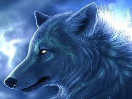 What S Your Guardian Animal Wolf Wallpaper Animal Wallpaper Animal Spirit Guide