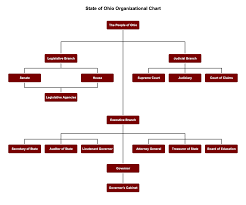 The executive branch carries out and enforces laws. The Ohio Legislature