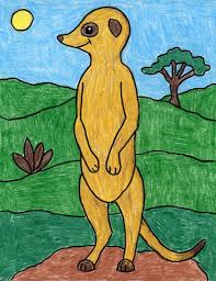 How To Draw A Meerkat Art Projects For Kids In order to draw a meerkat, you will need the following: to draw a meerkat art projects for kids