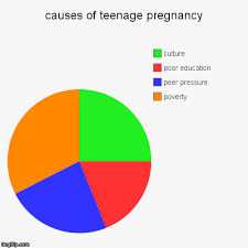 Causes Of Teenage Pregnancy Imgflip