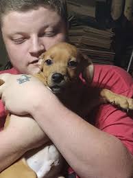 Puppies need a loving family