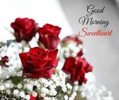 These beautiful collection of latest good morning love images with flowers in high resolution. Red Rose Good Morning Sweetheart