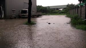 Maybe you would like to learn more about one of these? å½± å¼·é™é›¨æ€¥çŒ›é«˜é›„é³¥æ¾å¾€å¤§å¯®ç¥žè¾²è·¯ç©æ°´ä¸é€€ å¥½æˆ¿ç¶²news