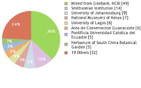Image result for Allophylus rubifolius