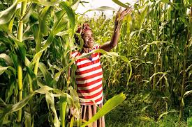 We are a leading african accelerator and growth partner for high potential african ventures scaling their business in and across africa. Agribusiness Can Help To Unlock The True Potential Of Africa