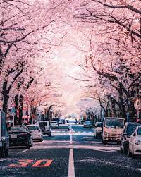 ヤコー on twitter 風景写真 風景 景色