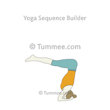 Upward Facing Staff Pose Yoga Urdhva Dandasana Yoga Sequences Benefits Variations And Sanskrit Pronunciation Tummee Com In 2020 Arm Balance Yoga Poses Yoga Poses Advanced Yoga For Balance