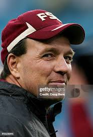 137 Gator Walk Stock Photos, High-Res Pictures, and Images