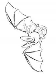 Vliegende zeemeeuw kleurplaat diy stamps bird coloring pages 410 x 430 gif pixel. Vleermuis Kleurplaten Gratis Kleurplaten Printen