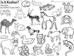 Kosher Animal Coloring Distance Learning Hebrew School Activities Bible Study For Kids Hebrew School