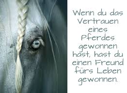 1001 Ideen Zum Thema Schöne Pferdebilder Und Pferdesprüche
