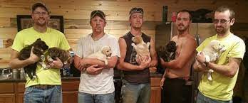 Sign up for our vip puppy mailing list. Bachelor Party Turns Into Puppy Rescue Mission Abc News