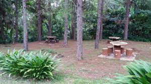 Check spelling or type a new query. Hutan Lipur Konifer Mohd Faiz Bin Abdul Manan