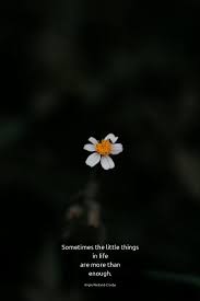 Time For Stillness Soul Quotes Nature Quotes Quotes Deep Meaningful