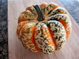 Image result for carnival acorn squash
