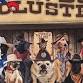 Cajun Cowboy Cluster of Dog Shows