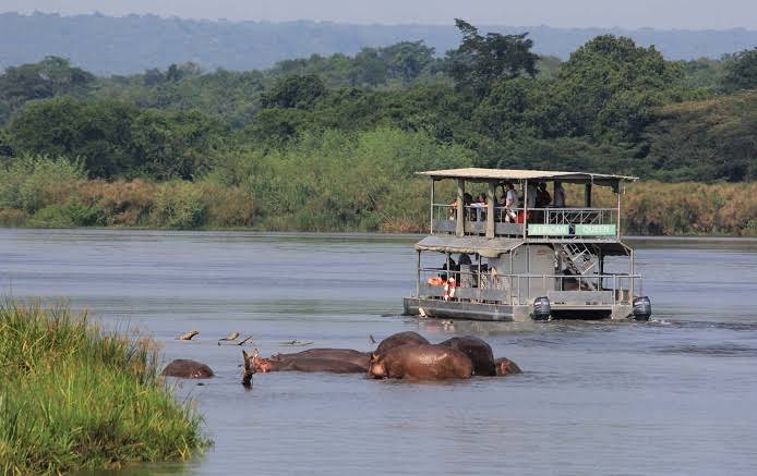 Activities | What to do in Murchison Falls National Park