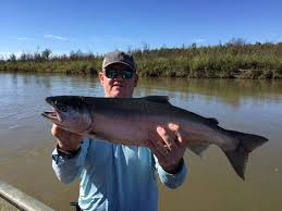 Kenai river lodge ⭐ , united states of america, kenai peninsula, 393 riverside drive: Drakes On The Kenai
