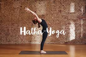 Ease into your 30 day experience with an open mind, kindness and curiosity. Hatha Yoga Online Kurs Sportverein Leingarten E V