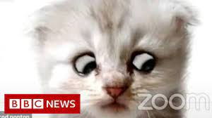 Gibbs bauer responds, i can see that, all while lawyer jerry l. Lawyer Uses Zoom Filter By Mistake I M Not A Cat Bbc News Youtube