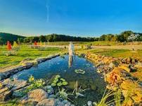 Corporate Events at Aquila's Nest Vineyards
